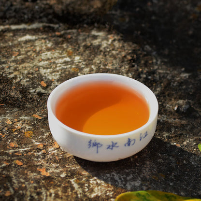 2009 Chinese Xiaguan Yi Ji Tuocha Old Puer Tea Tuo Cha Pu'er Raw Puerh Shen 500g