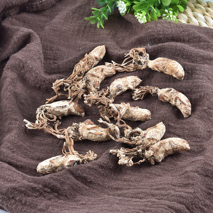 Golden cicada flower selection cordyceps