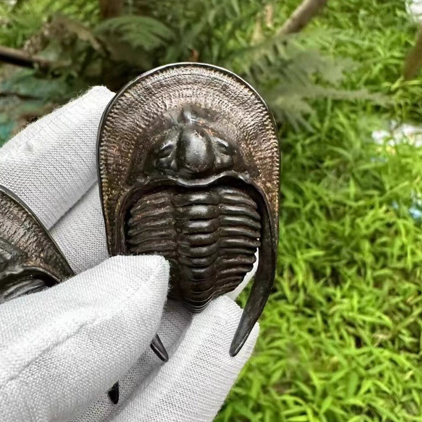 Chinese Old Bronze Hand Casting Trilobite Statue Netsuke Collectable Ornament