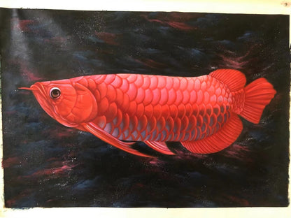 Handpainted Oil Paintings Chinese Fengshui lucky Red Koi carp No Framed 24*36