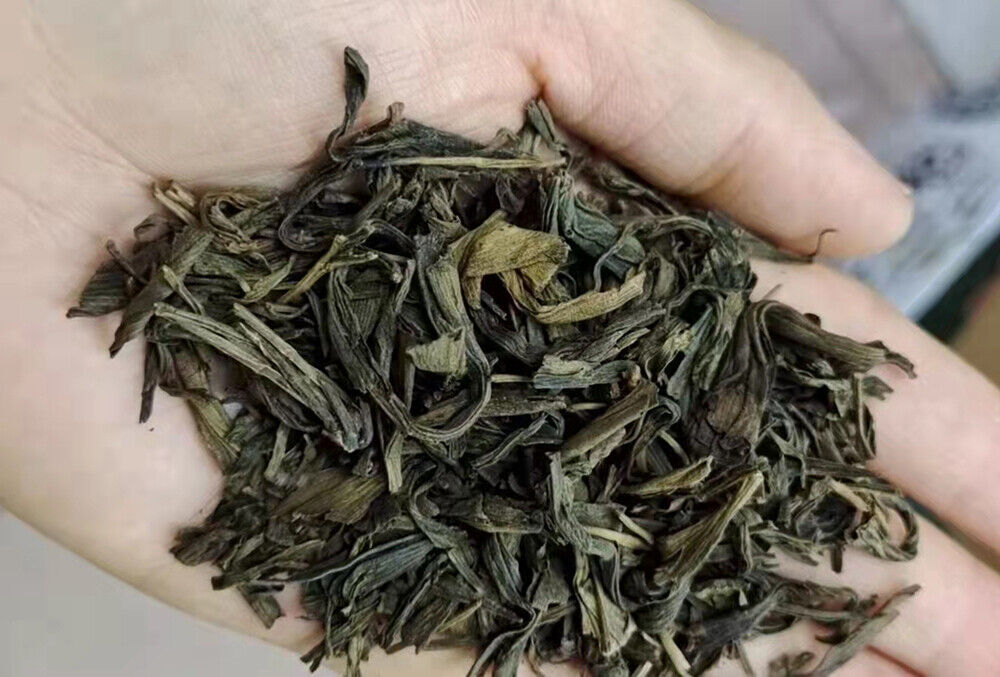 Natural Dried Gingko Biloba Tea Dry Green Gingko Healthy Herbal Gingko Tea 500g