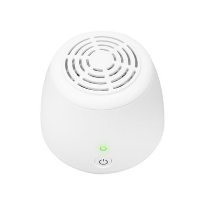 Refrigerator Air Purifier - Cordless Air - Cars, Pet Litters, & Shoe Closet