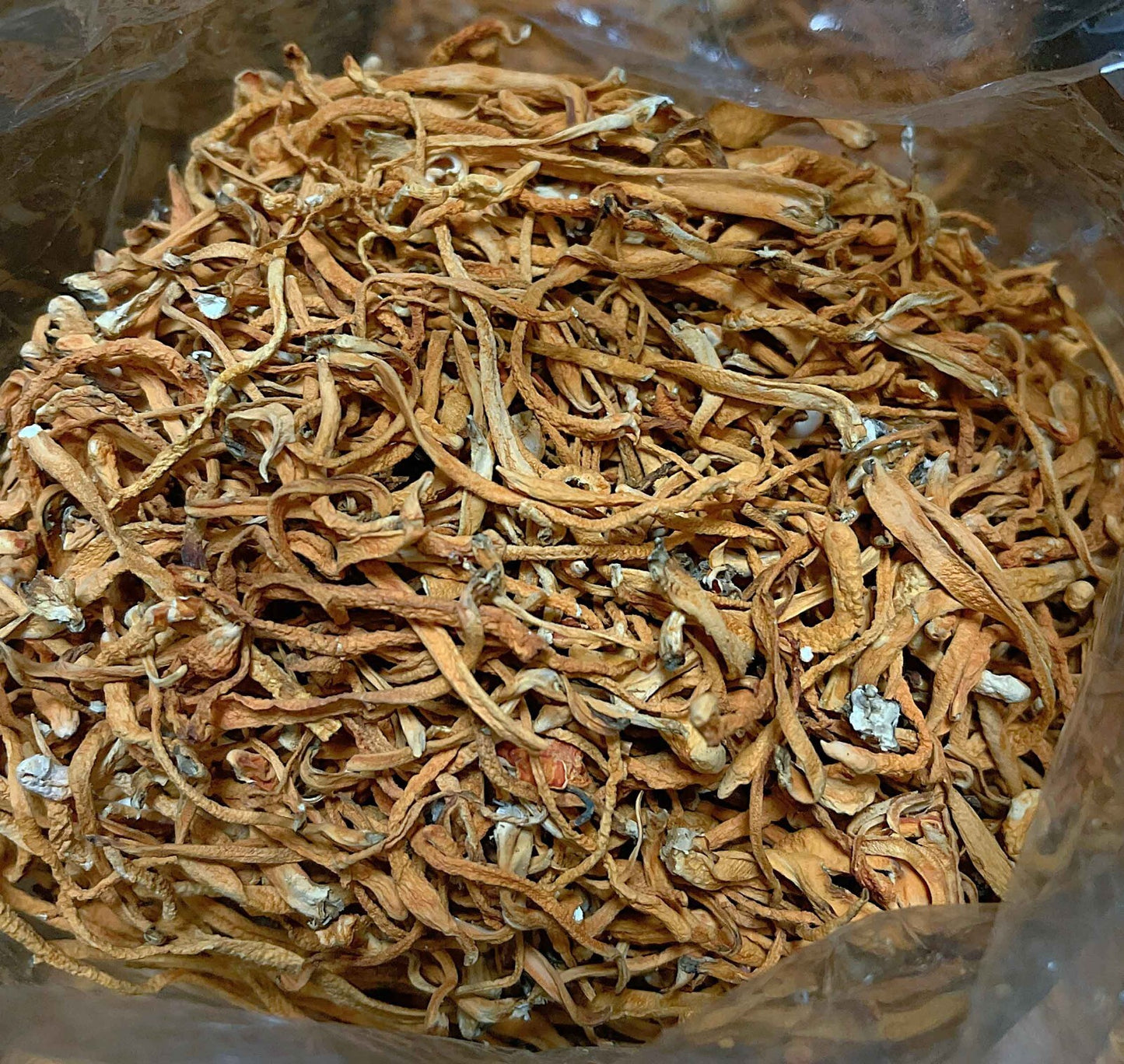 Premium High Quality Cordyceps Flowers 粗排特級蟲草花 Free Worldwide AIRMAIL