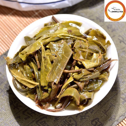 2025 云南 DA XUN SHAN Mengku 大雪山普洱茶普洱茶 357 克生-