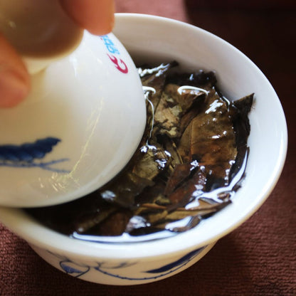 300g White Tea Cake Dongpian Fuding Fujian Sun Dried Mountain Grown Tea