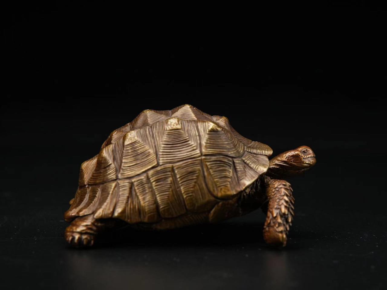 Chinese Brass Hand Casting Turtle Statue Figure Collectable Home Decoration 400g