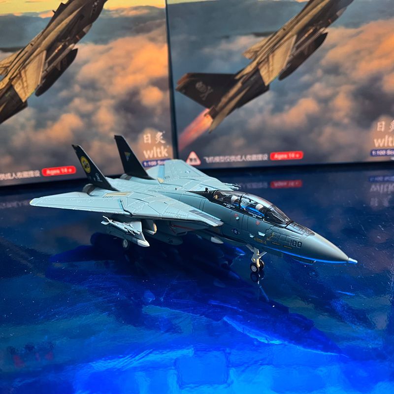1:100 F-14B Male Cat Fighter Metal Model Wing Variable Bomb Cat Painting