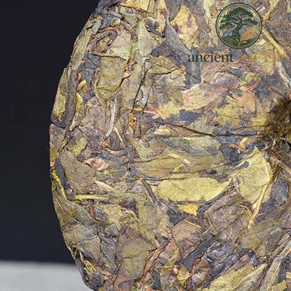 Pu Erh Tea Cake 357g Yunnan Ancient Tree Snow Mountain Golden Leaf Big Leaf