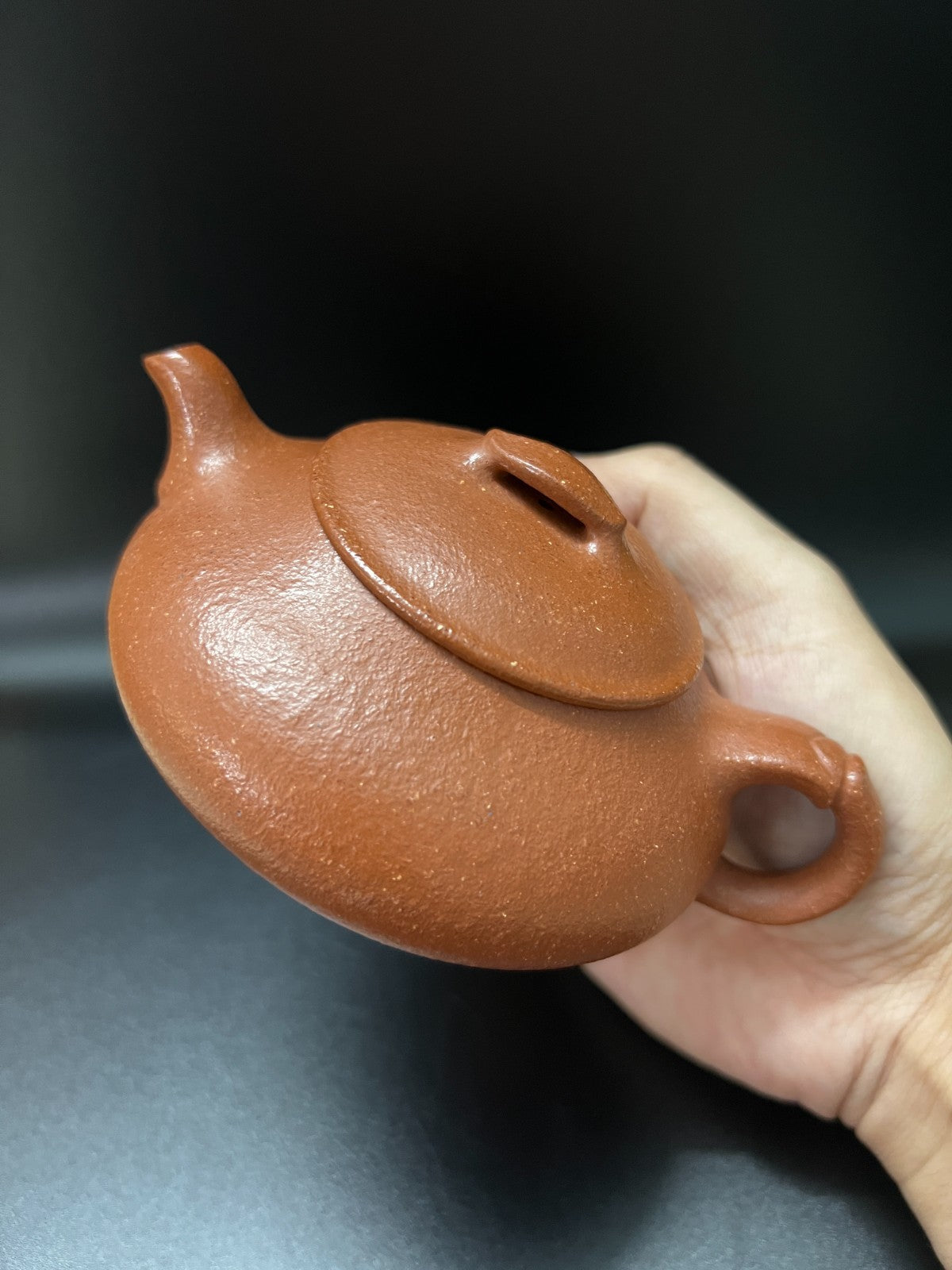 170cc chinese Yixing Handmade Zisha teapot JiangPo clay JianPiao Hu Tea Pot