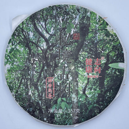 普洱茶,2018,秘密古树,357克,烹饪-