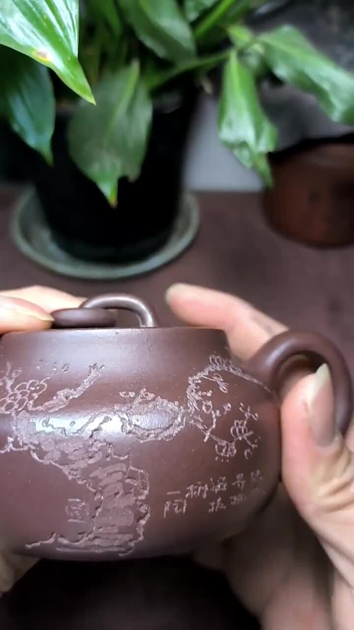 6.8oz China Marked Tea Pot 7 Infuser Holes Hand Carved Flower Plum Master Zisha