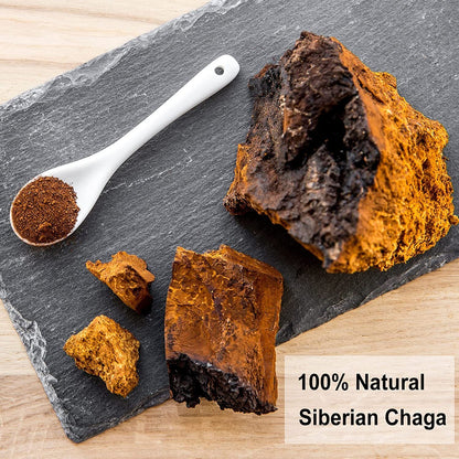 TEARELAE Chaga Tea Bag 2g x 40 Count Wild Harvest from Siberia