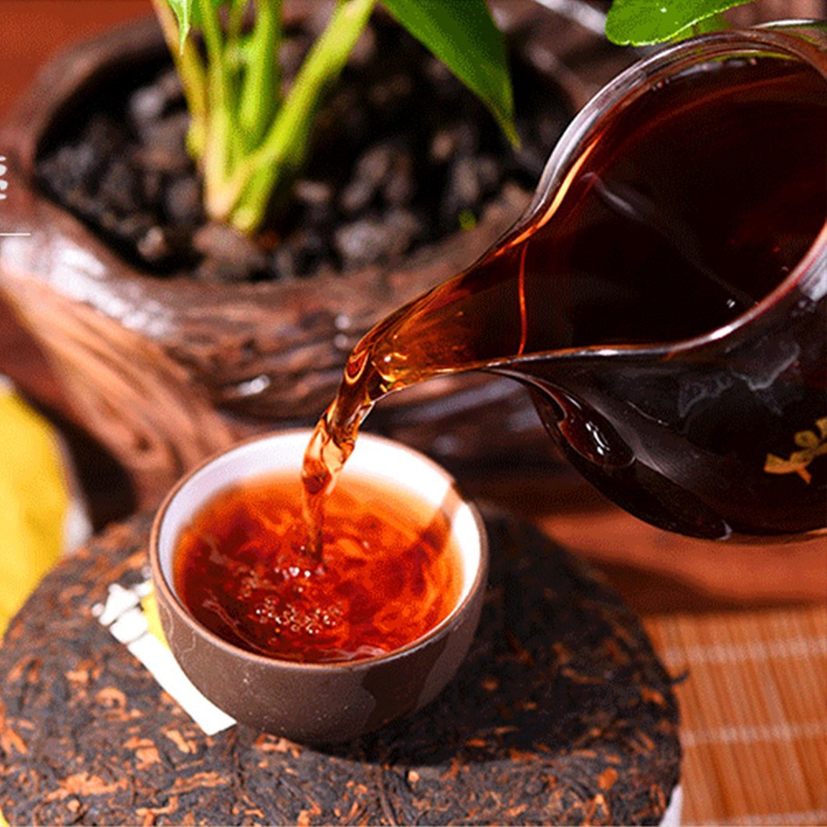 MengHai Old Ripe Pu erh Tea Cake Natural Herbal Energy Drink 100g