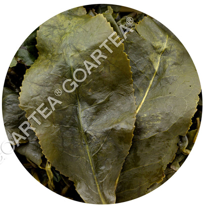 GOARTEA 60Pcs*8g Supreme Taiwan Dongding Oolong Tea High Mount Tung-ting Tea-