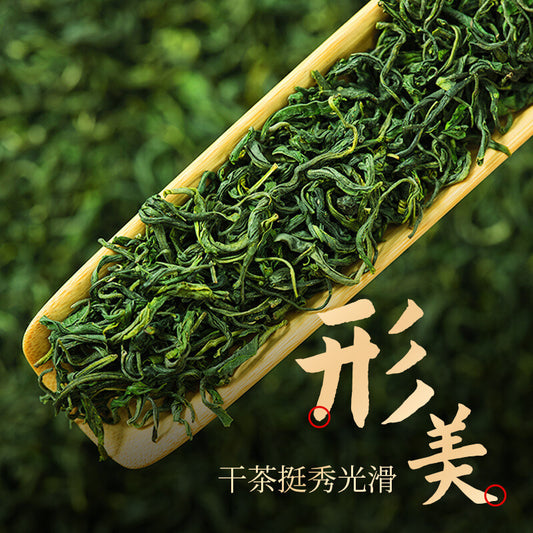 Maojian Green Tea Canned Mellow Brewed Tea High Quality Loose Tea 100g