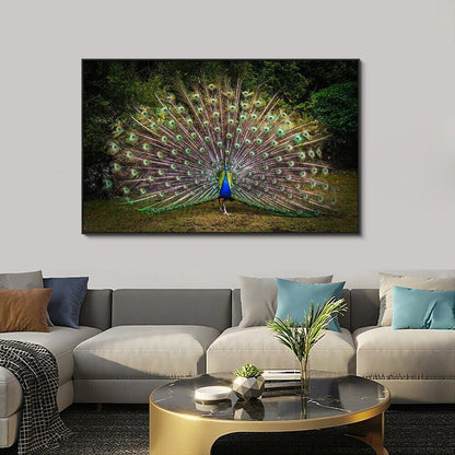 Peacock Print Art Wall Art Picture Posters Animal Canvas Painting Home Decor Art