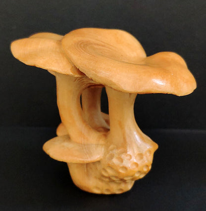 Chinese wood Hand Carved Boxwood Netsuke - Beautiful Mushroom hand piece gift