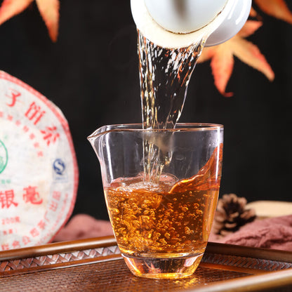 BAJIAOTING Zao Chun Yin Hao Early Spring Pu-erh Tea Cake 2007 200g Bulang Raw