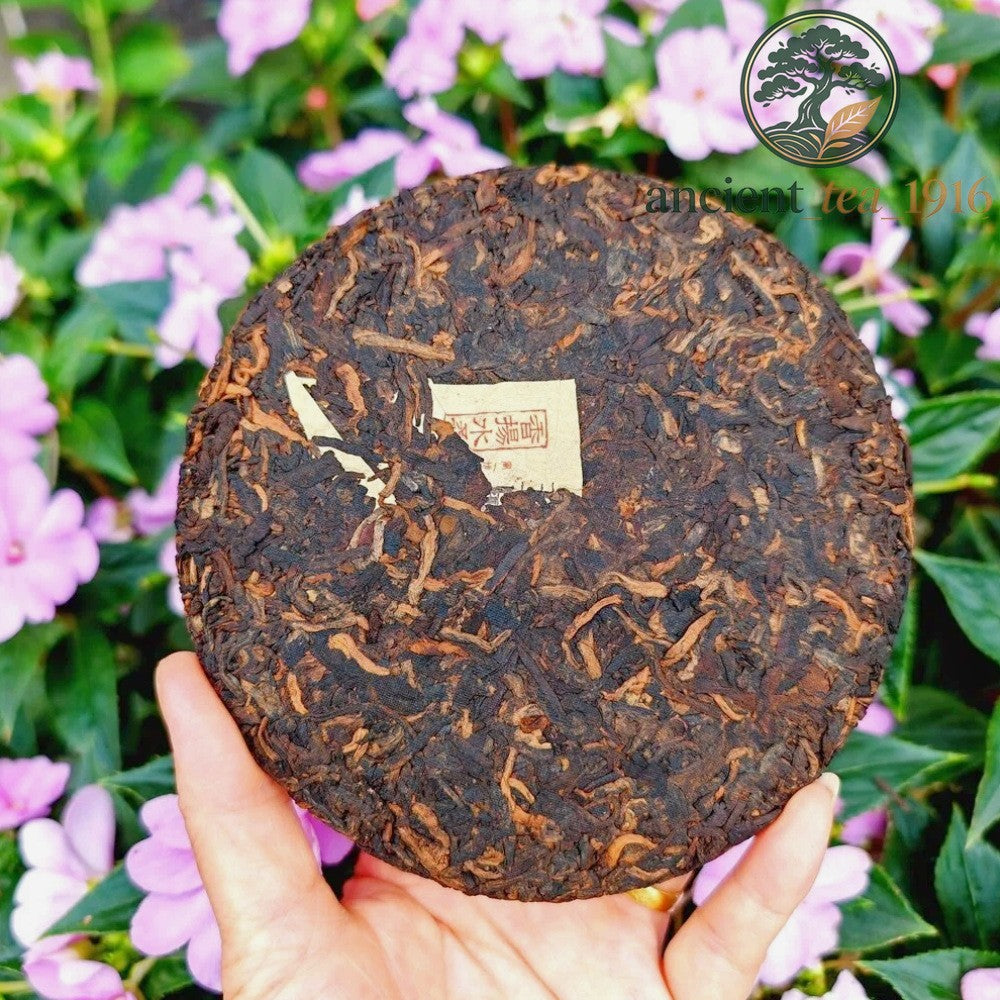 200g Ancient Tree Ripe Tea Yunnan Pu'er Tea Aged Tea