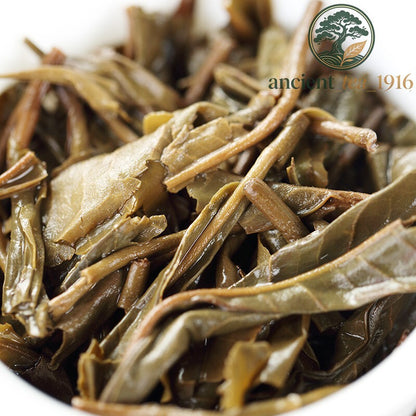 500g 2015 Mengku Rongshi Big Leaf Green Cake Yunnan Pu-erh China Pu'er Tea