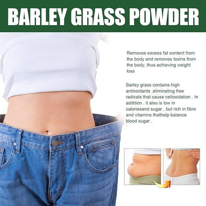 250g Barley ZEN FOCUS PREMIUM TEA LATTE - Barley GREEN GINKGO MACA GINGER