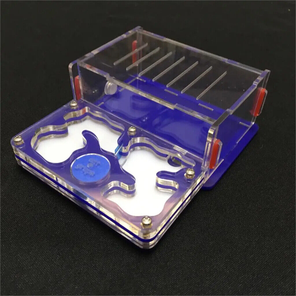 Ant-Grape Series Acrylic Plane Design Feeding Area Insect Antvilla 10.6x12.6x5cm