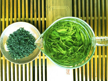 Natural Fresh Xin Yang Mao Jian Xinyang Downy Tip Chinese Maojian Green Tea