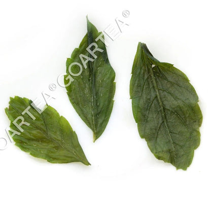 250g Supreme 7 Leaf Jiaogulan Gynostemma Pentaphyllum Tea Herbal Green Tea