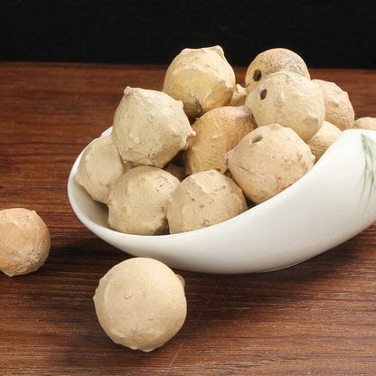 Recommend Dried Aleppo Gall Premium Quercus Infectoria Oliv.