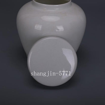 Chinese Ming Chenghua Sweet White Porcelain Jar Carved Dragon Design Pot 4.33"