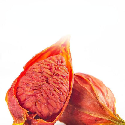 100% Natural Cape Jasmine Fruit Organic Zhi Zi Gardenia Chinese Herbs Particles