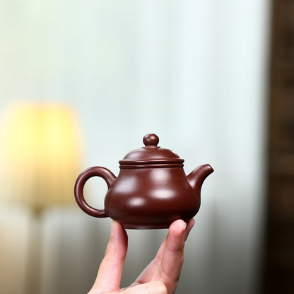 Small Tea Pot Real Yixing Zisha Purple Clay Master Pot Kungfu Tea Pot Xishi New