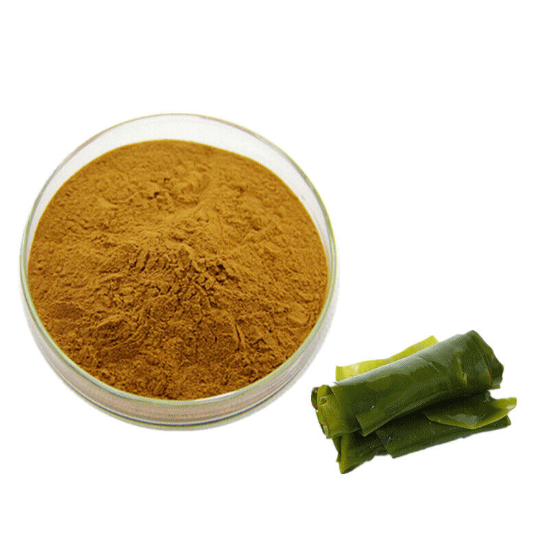 100g~500g Pure Ecklonia Cava Extract 30:1 Powder