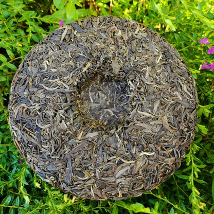 Yunnan Qizi Cake High Quality Green Tea 357g Xigui Ancient Tree Pu'er Tea