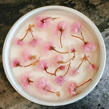 Japanese Salted Sakura Cha Pink Cherry Blossoms Traditional Preserved Flower Tea