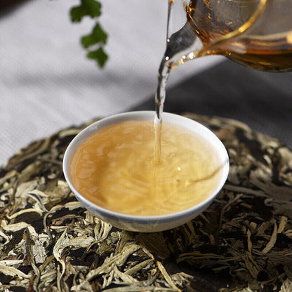 Natural Jasmine Hand Teared White Tea Fuding White Tea Health Tea 150g