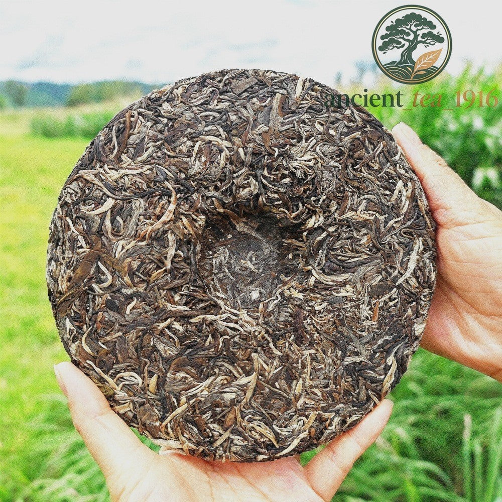 357g 2021 Mansong Yiwu Ancient Tree Pu'er Raw Tea Cake