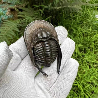 Chinese Old Bronze Hand Casting Trilobite Statue Netsuke Collectable Ornament