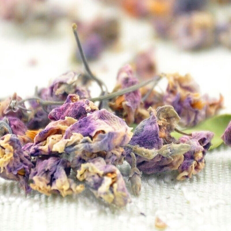 Apocynum Venetum Herbal Flowers Tea Luo Bu Ma Rafuma Apocynum Venetum Herb Tea
