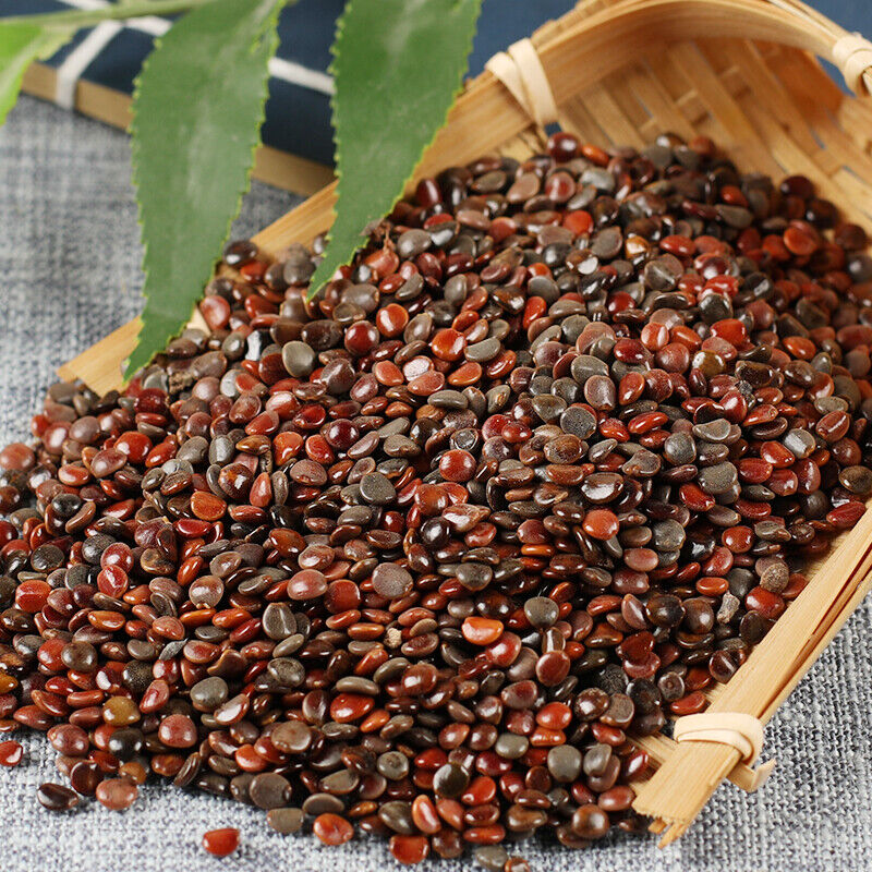 250g/500g Top Grade High Quality zhijuzi Chinese organic herbs Health Care 枳椇子