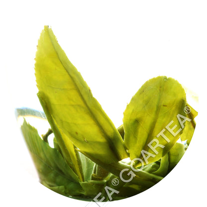 GOARTEA 250g Nonpareil Supreme Suzhou Biluochun Green Tea Loose Spring Green Tea-