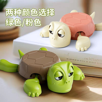 A funny coaster with the turtle staring at you