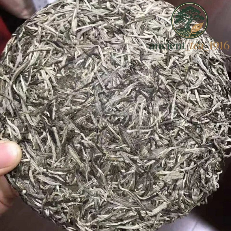 Premium Silver Needle White Tea Cake Chinese Organic Bai Hao Yin Zhen Cha