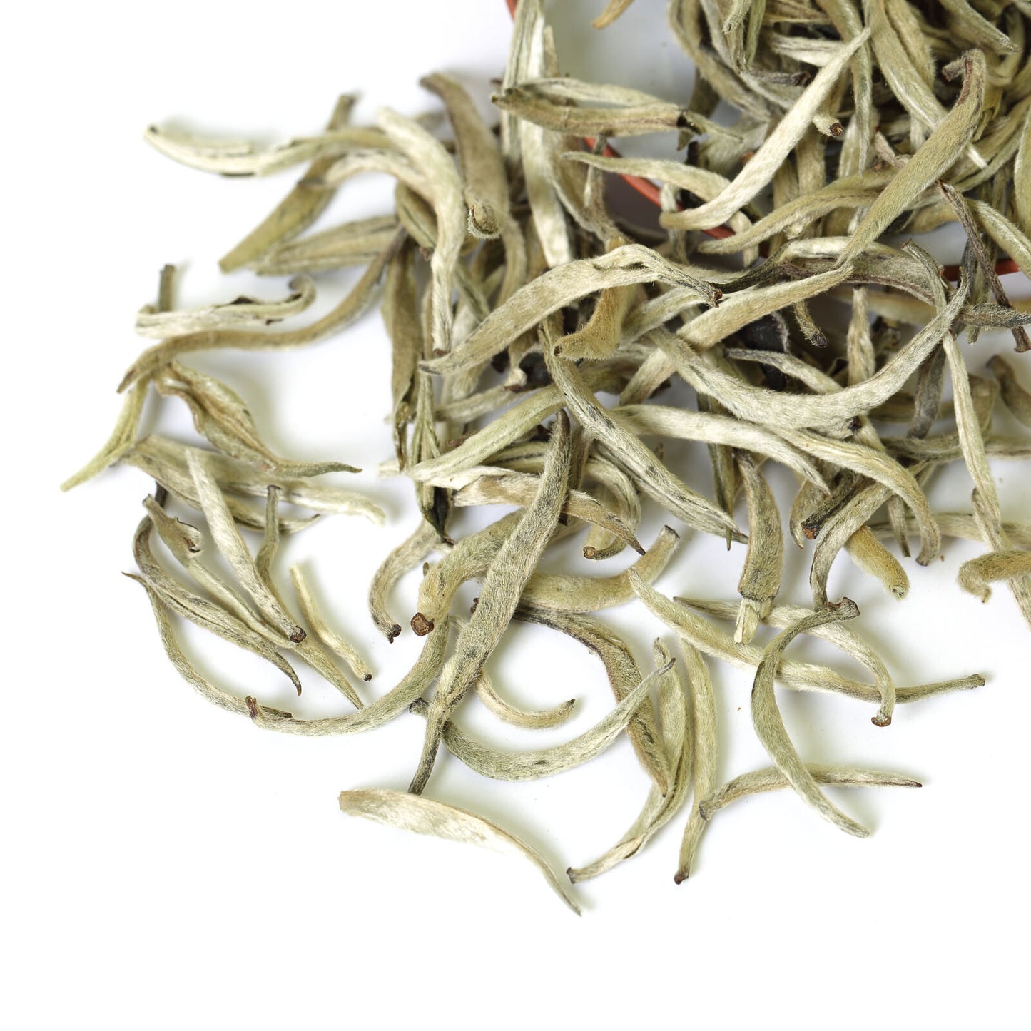 GOARTEA Premium Silver Needle White Tea White Bai Hao Yinzhen White Tea Buds-
