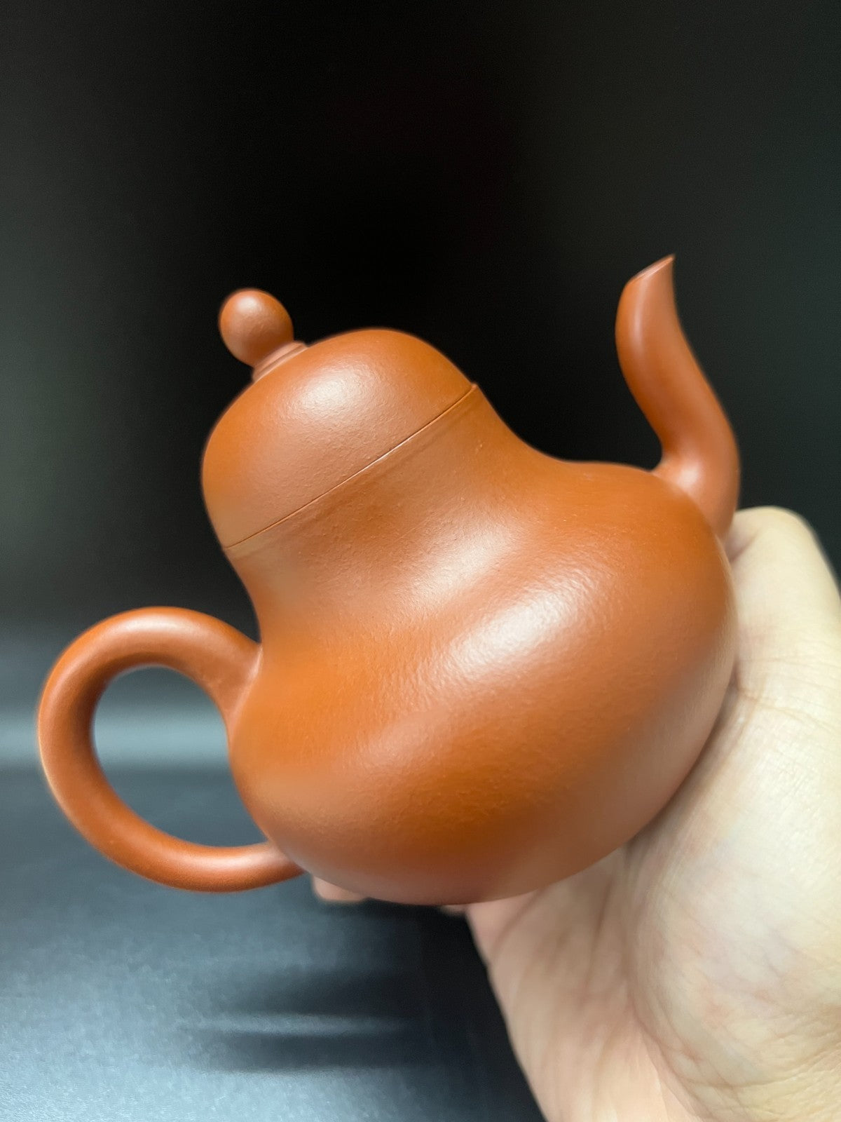 200cc chinese Yixing Handmade Zisha teapot Zhu Clay SiTing Hu Gongfu Tea Pot