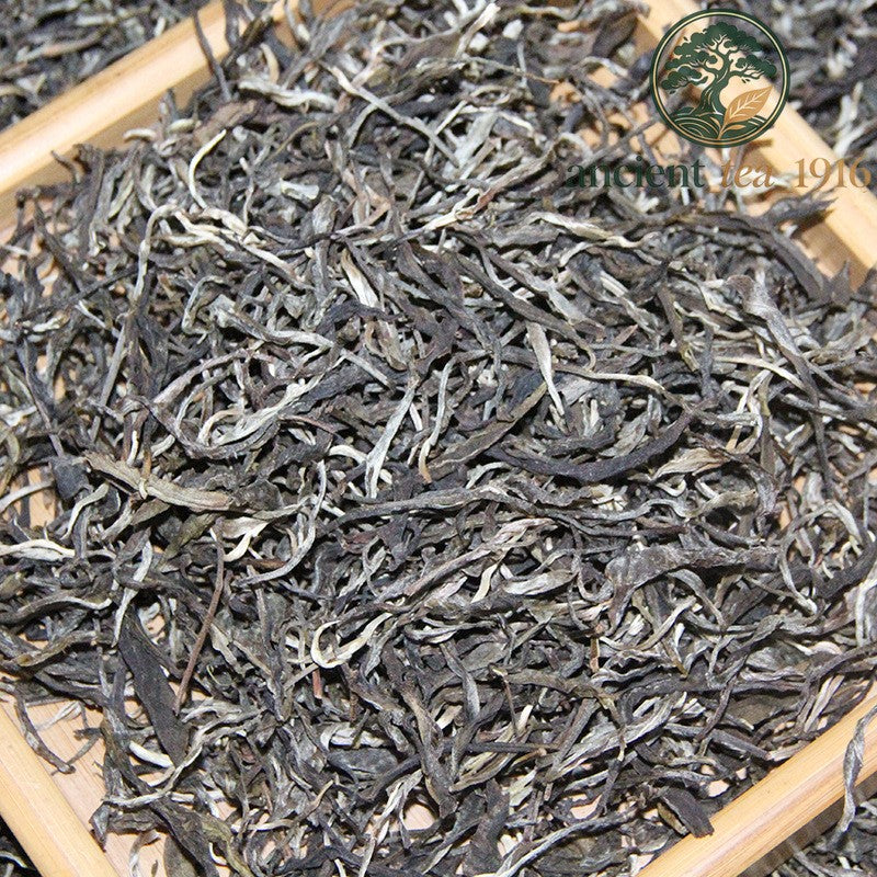 500g 2025 Spring Six Major Tea Mountains Ancient Tree Sprout Sunbathing Pu'er