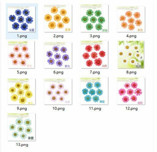 Dried Flowers Pressed Dry Daisy Epoxy Resin Jewelry Making Materials 120Pcs/Lot