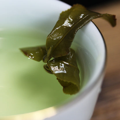 Taiwan Alishan Oolong Tee Premium Formosa Alishan High Mountain Wulong Tee 250g