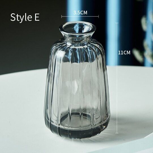 Relief Small Glass Vase Hydroponic Terrarium