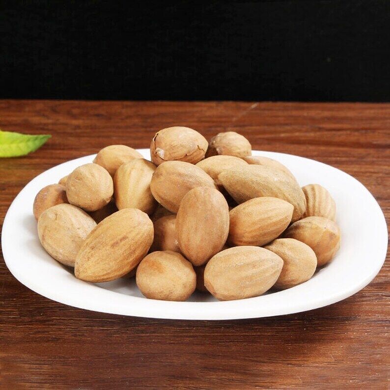 Premium Semen Torreyae Grand Torreya Seed Great Quality